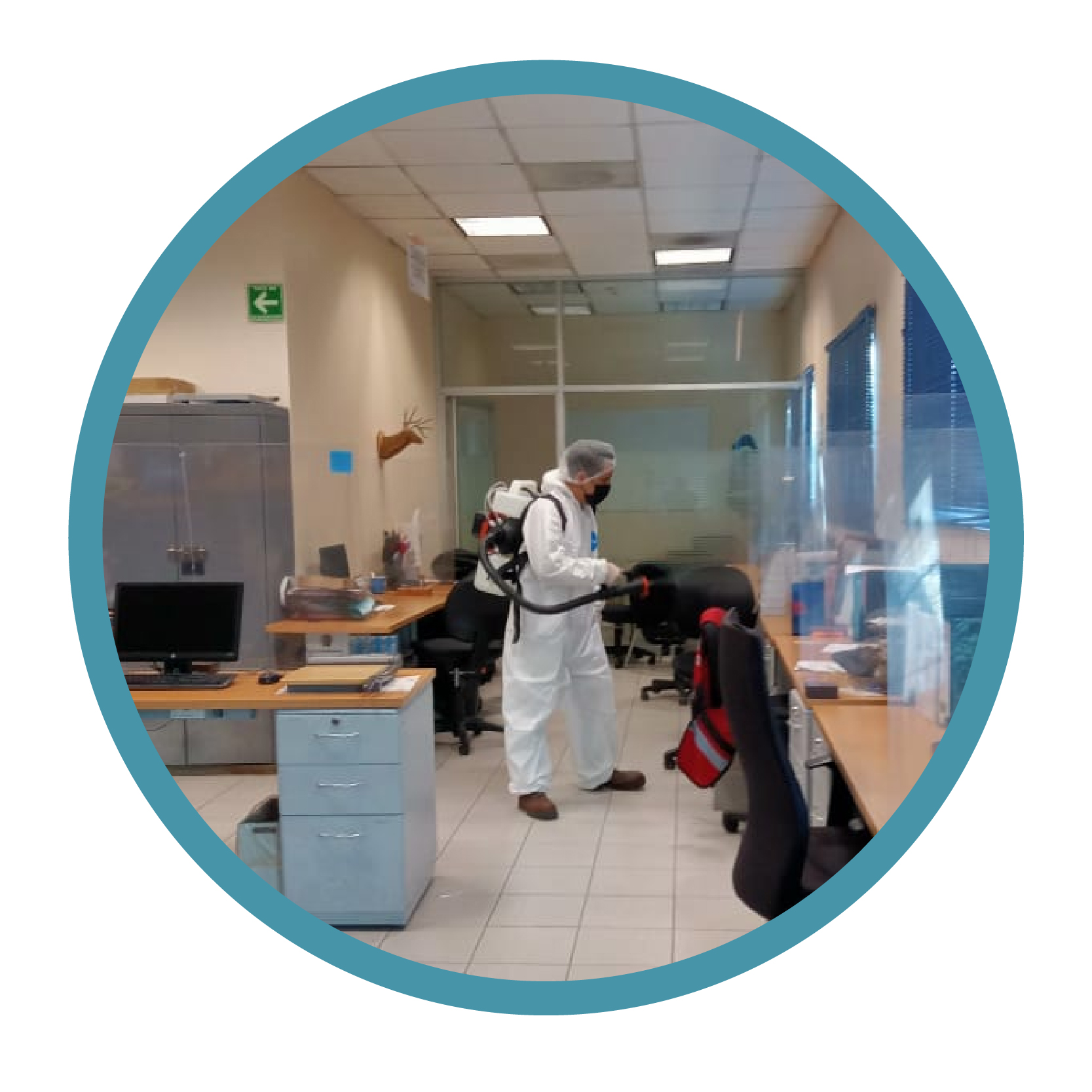 Servicio de Plaga de Grano